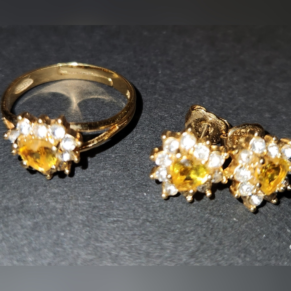 Pierced earrings and ring set